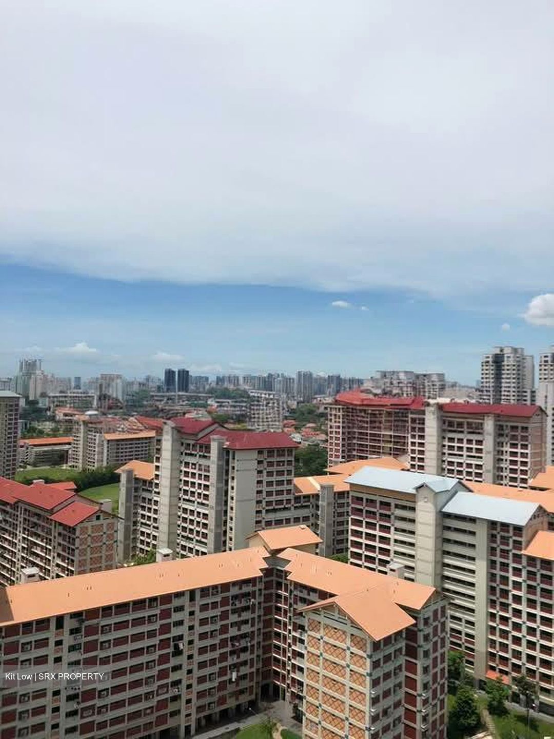 Clover By The Park (D20), Condominium #547528151